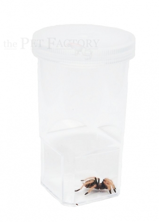 The Pet Factory