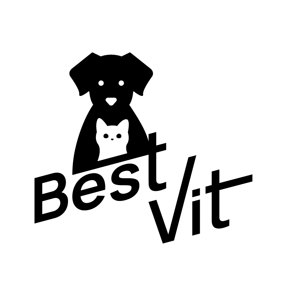 Best Vit