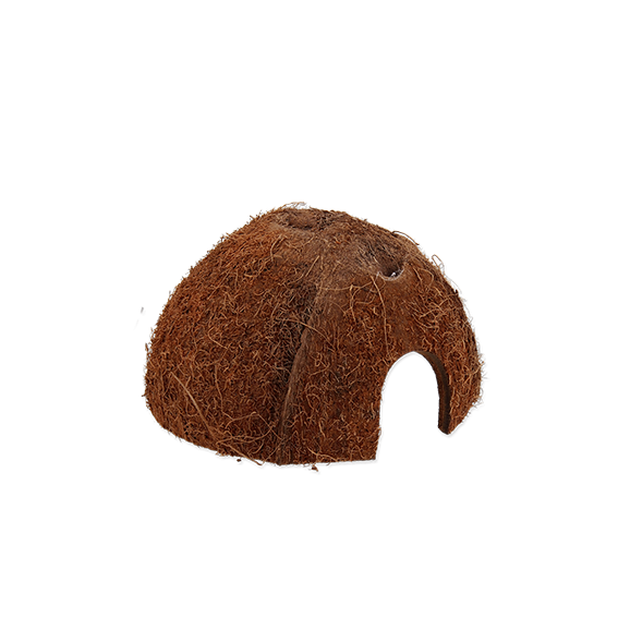 Repti Planet