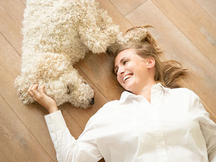 Alles für deinen Hund in der Gecko World