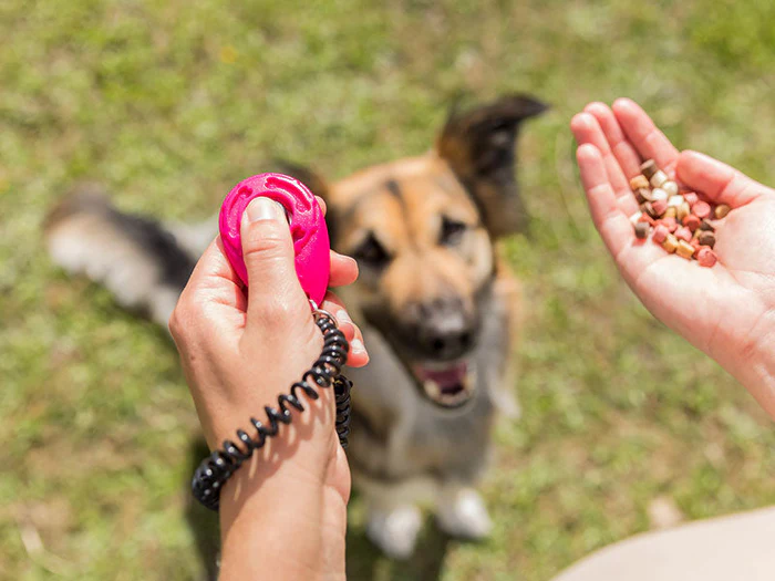 Clicker & Pfeifen für Hunde