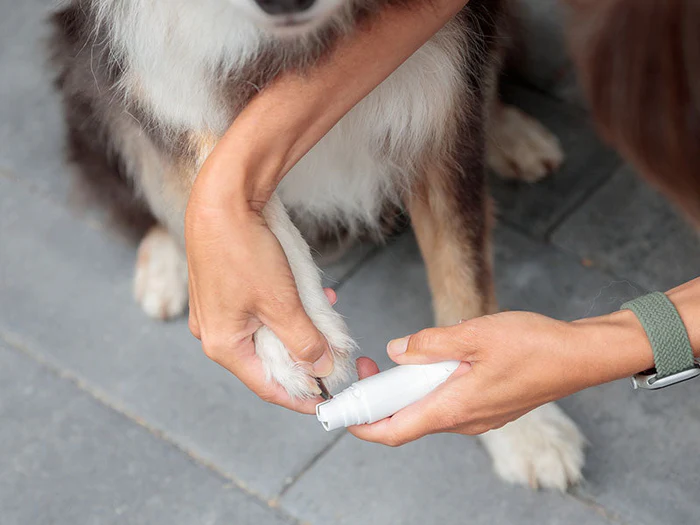 Krallen- & Pfotenpflege für Hunde