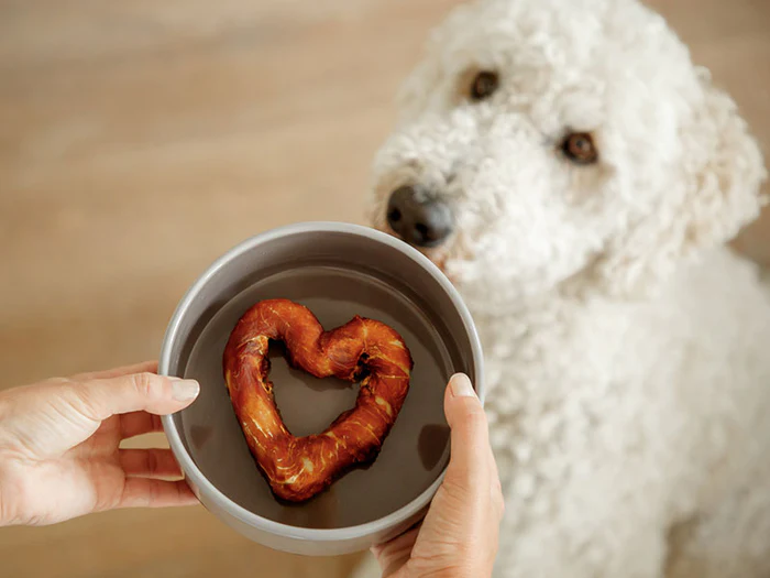 Näpfe und Tränken für Hunde