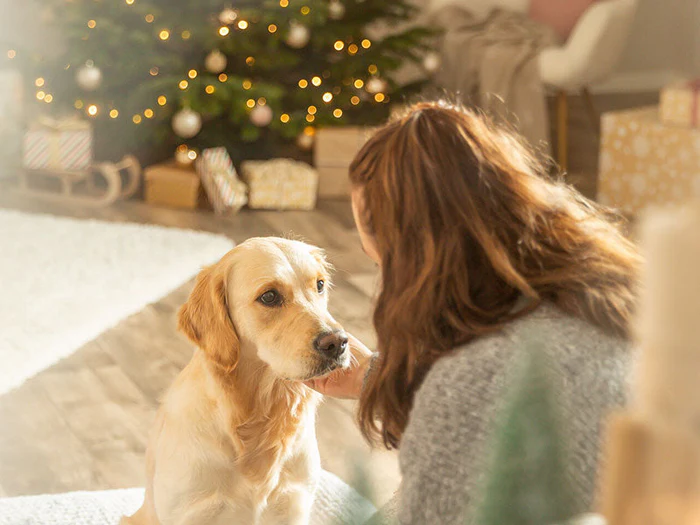 Saisonartikel für Hunde