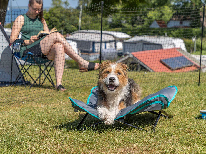 Campingartikel für Hunde