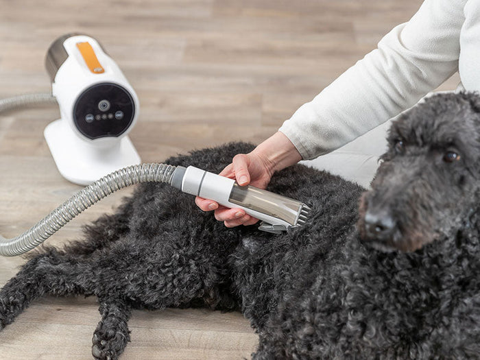 Schermaschinen für Hunde