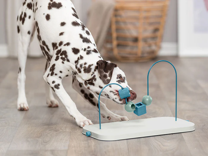 Intelligenzspielzeug & Beschäftigung für Hunde