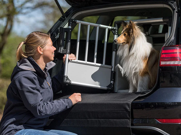 Transport & Reisen mit Hund