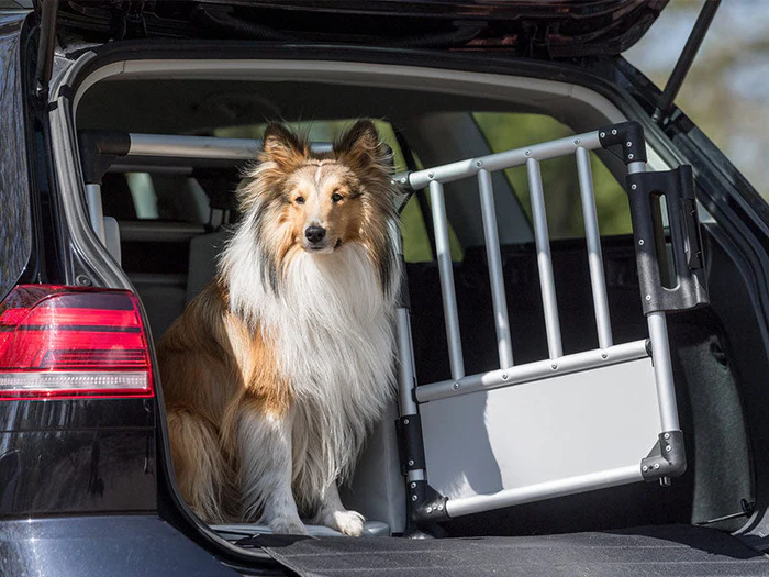 Transportboxen für Hunde