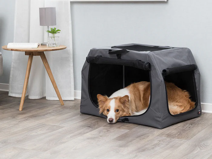 Hundezubehör für Zuhause