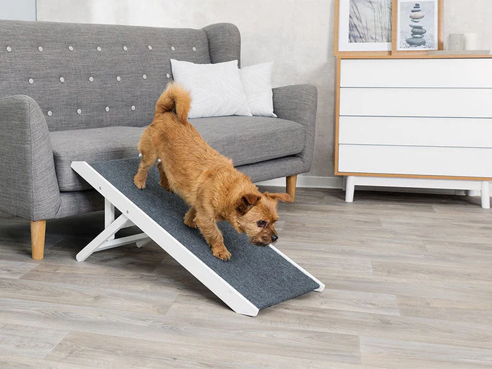 Hunderampen & Treppen