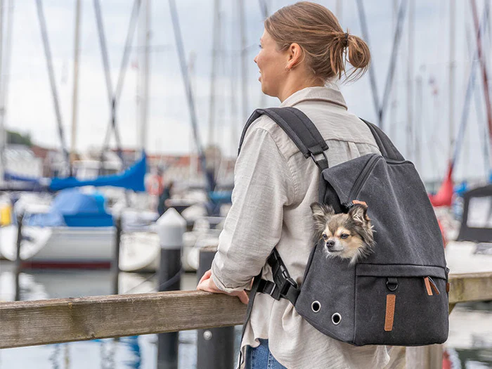 Hunderucksäcke & Taschen