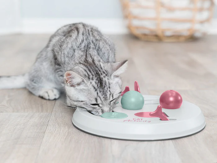 Intelligenzspielzeug & Beschäftigung für Katzen