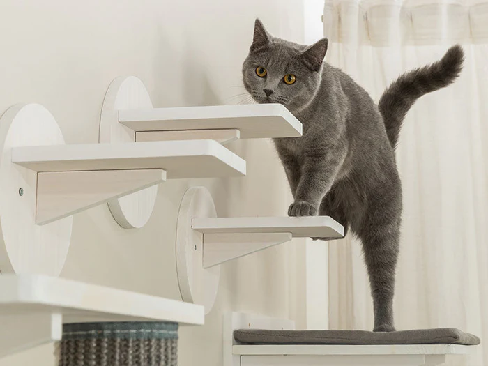 Katzenmöbel zur Wandmontage