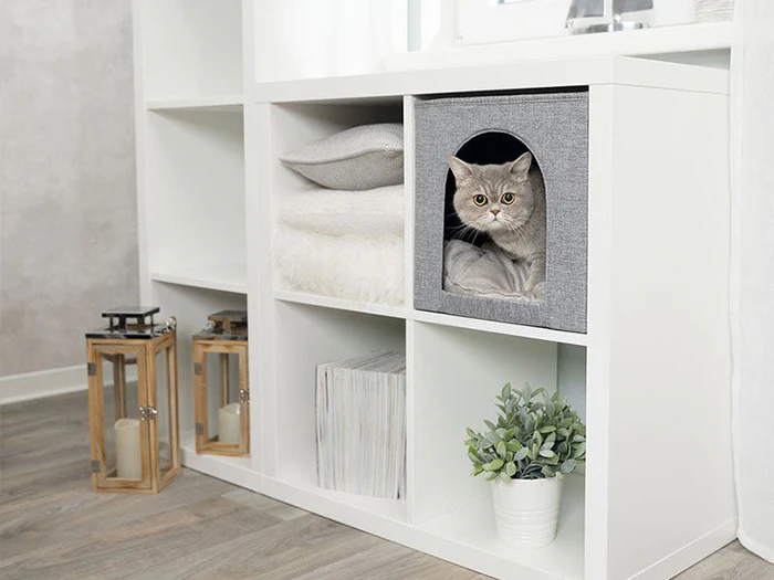 Liegeplätze für Katzen