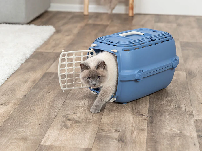 Transportboxen für Katzen