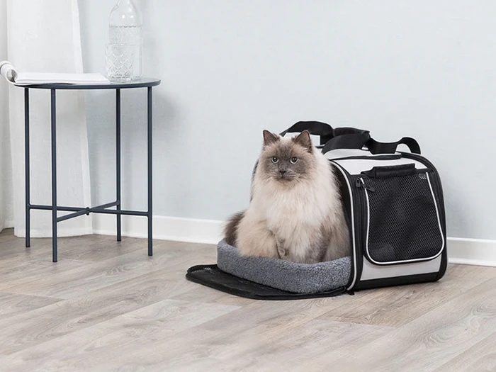 Katzenrucksäcke & Taschen