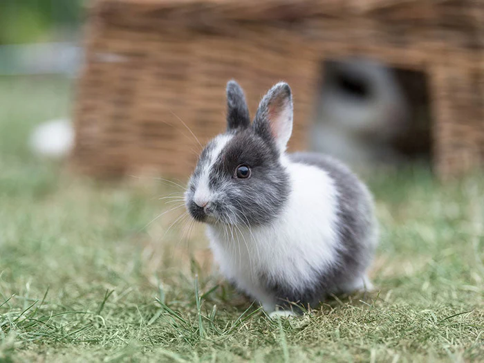 Alles für deine Kleintiere in der Gecko World
