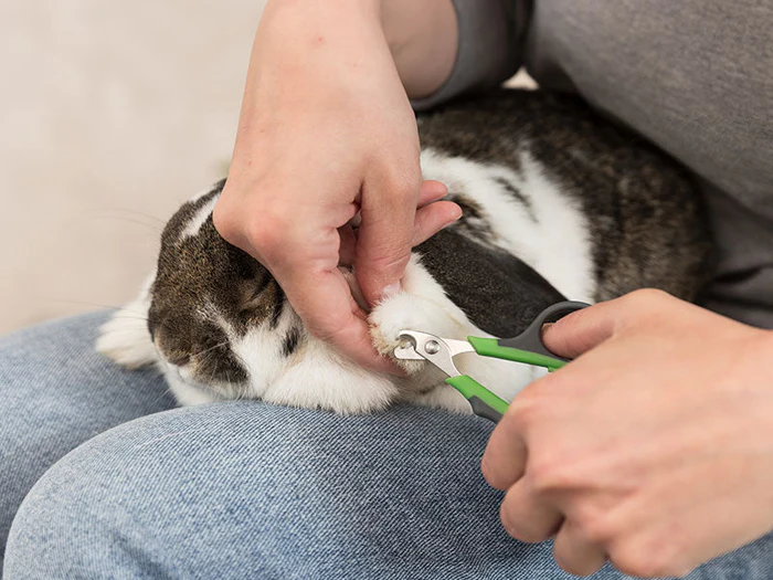 Krallenscheren für Kleintiere