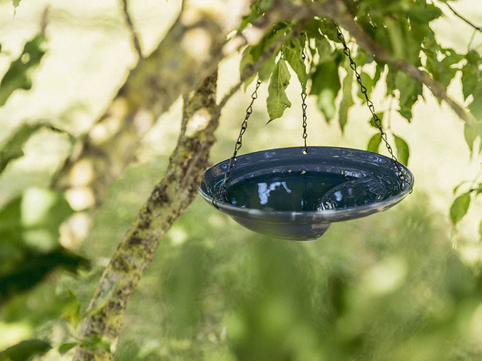 Tränken für den Garten