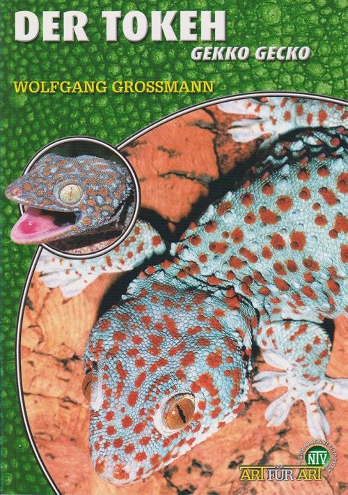 Geckos