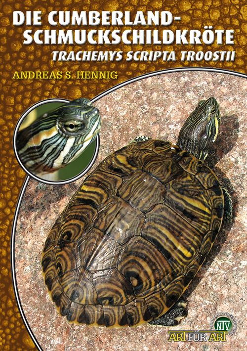 Wasser und Sumpfschildkröten