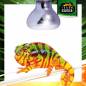 Preview: Neo Spot Terrarien Reflektorstrahler 40 Watt