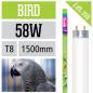 Preview: T8 Bird Lamp 2,4% UVB