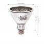 Preview: SOLAR RAPTOR® HeatingLamp