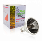 Preview: SOLAR RAPTOR® HeatingLamp