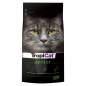 Preview: TropiCat SENIOR
