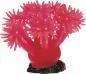 Preview: Smiling Coral
