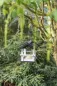 Preview: Vogelfutterhaus zum Aufhängen
