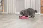 Preview: Catch the Mouse