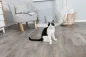 Preview: Catnip Seifenblasen