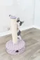 Preview: Junior Kratzstamm