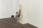 Preview: Kratzbrett Katze