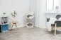 Preview: Cat Tower Gracia