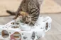 Preview: Paws'n'Treats Box