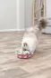 Preview: Hide'n'Sniff Bowl