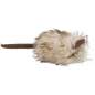 Preview: Maus