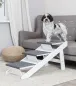 Preview: Rampe