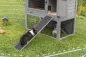 Preview: Rampe
