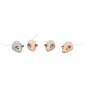 Preview: Sisalmaus XXL