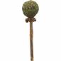 Preview: Matatabi Lolli