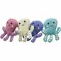 Preview: Oktopus