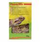 Preview: Lucky Reptile - Flower Mix