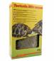 Preview: Lucky Reptile Testudo Mix