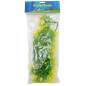 Preview: Lucky Reptile Turtle Plant