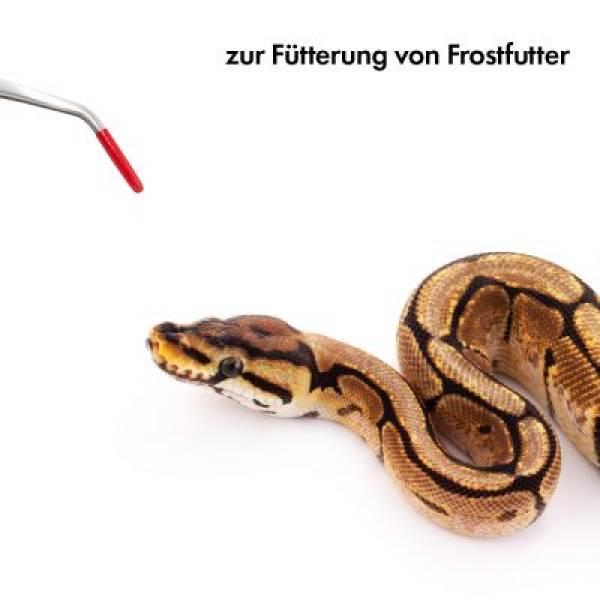 Edelstahl Futterpinzette - 45 cm - Abgewinkelt mit Gummierung